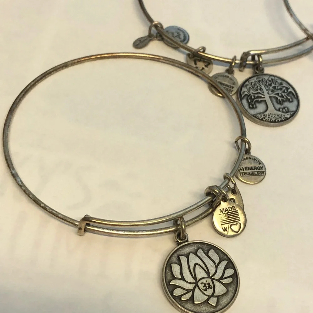 Alex and Ani Gold and Silver Charm Bangle Set